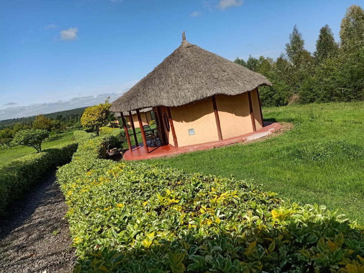 The Great Circle Lodge Наньюкі Екстер'єр фото