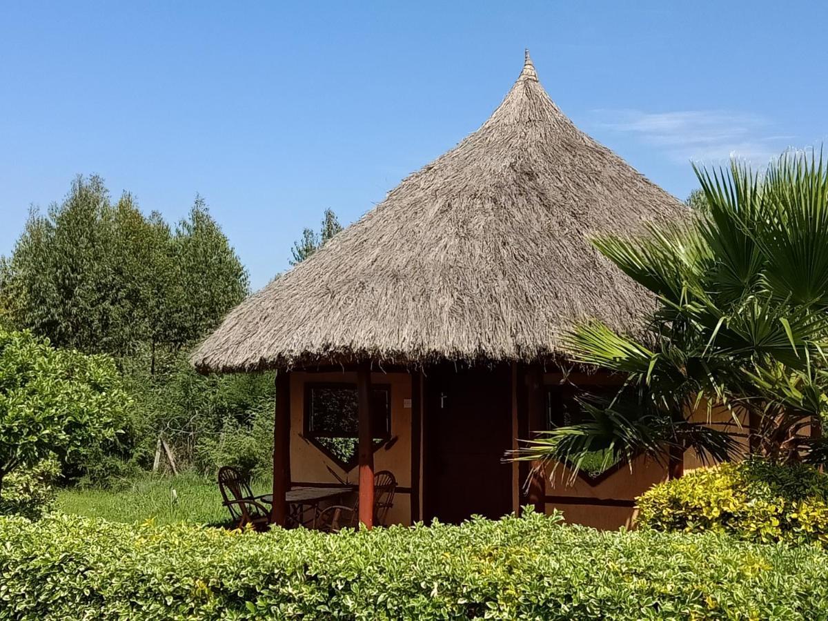 The Great Circle Lodge Наньюкі Екстер'єр фото