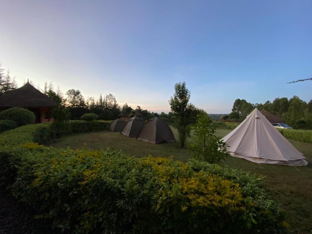 The Great Circle Lodge Наньюкі Екстер'єр фото