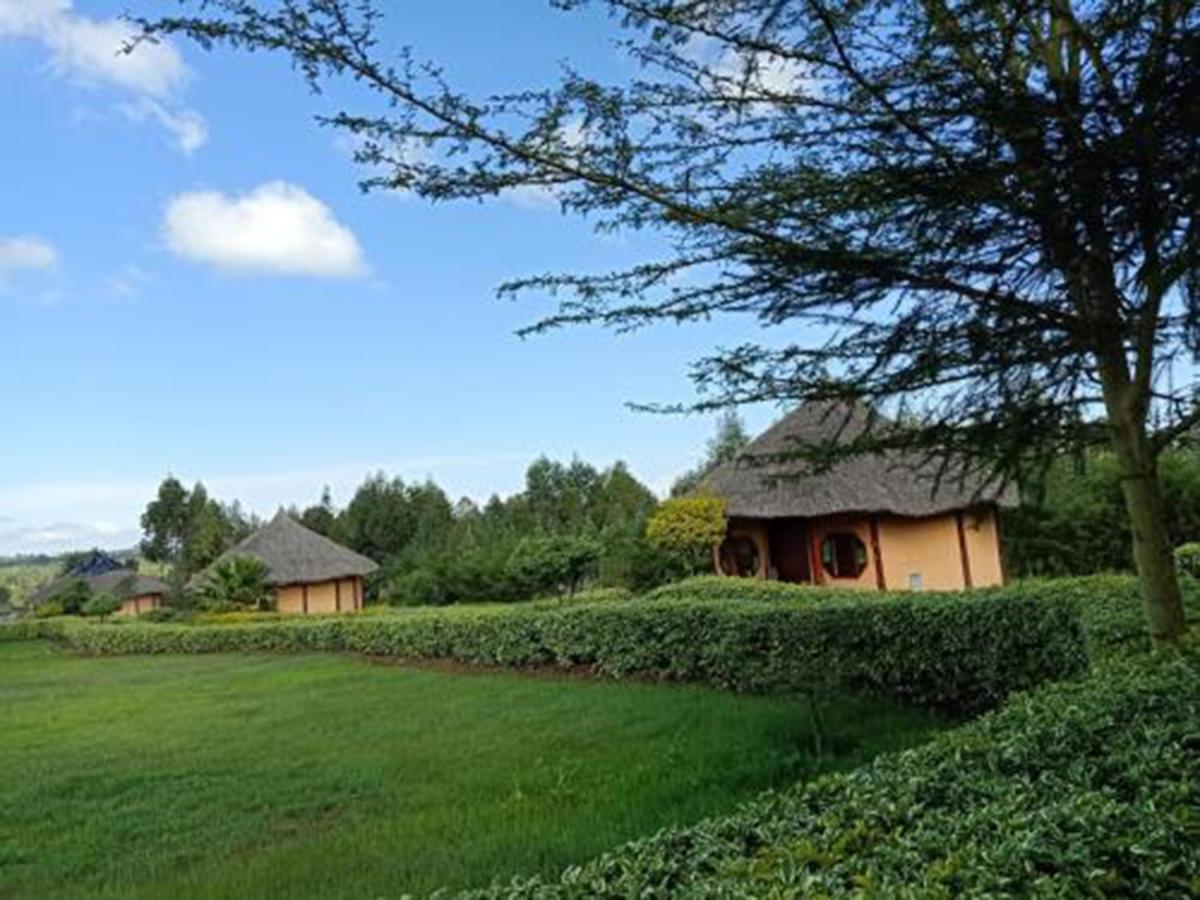 The Great Circle Lodge Наньюкі Екстер'єр фото